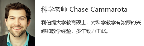 科学老师 Chase Cammarota